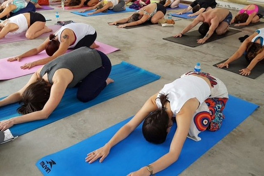 Imagem 1 da galeria do parceiro Casa Prana || Aulas de Yoga || Guarujá