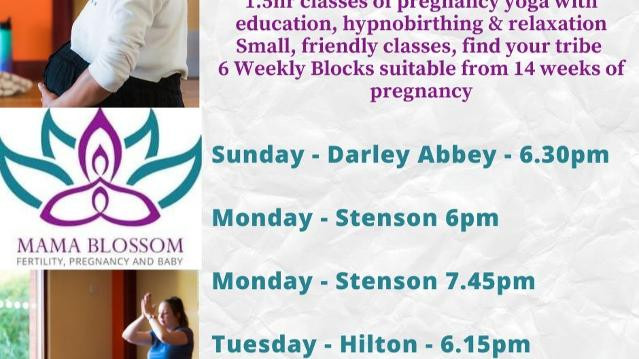 Image 3 from Mama Blossom Studio partner gallery