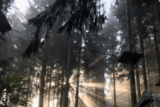 Bild 3 von Klette am Ette Partnergalerie