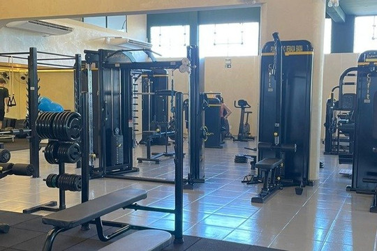 Imagem 1 da galeria do parceiro Wellness Academia