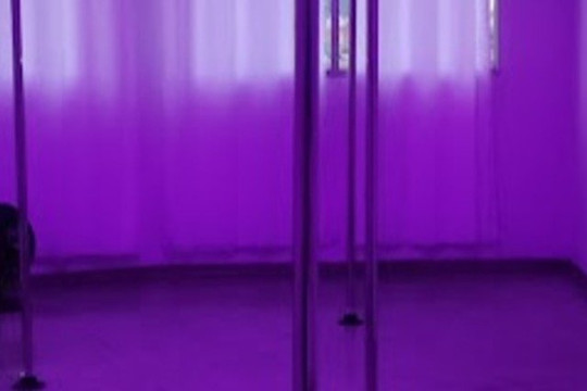 Imagem 3 da galeria do parceiro Pole Land Studio