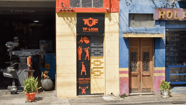Imagem 2 da galeria do parceiro TF LION TREINAMENTO FUNCIONAL