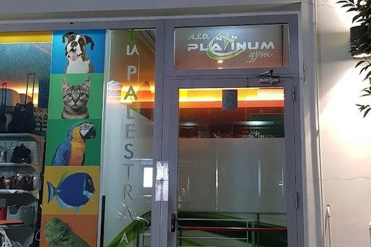 Immagine 2 dalla galleria del partner Platinum Gym