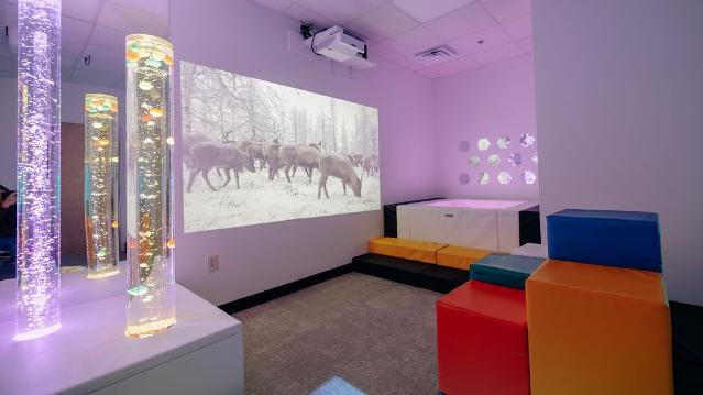 Image 1 from Bee Me Sensory Gym partner gallery