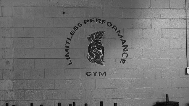 Image 1 from Limitless Performance Gym ( partner gallery