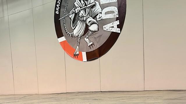Imagem 3 da galeria do parceiro ADPM Jiu Jitsu Clube