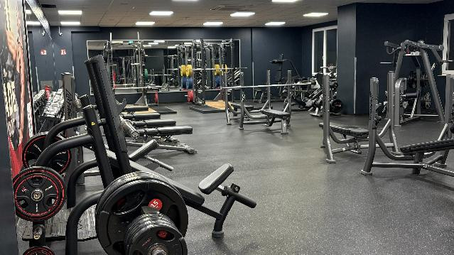 Bild 3 von NXTONE Landau Partnergalerie