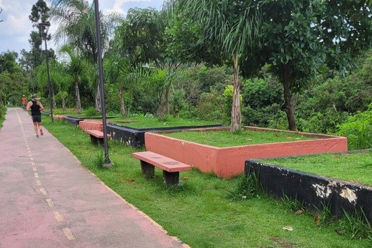 Imagem 1 da galeria do parceiro Assessoria Esportiva - Boa orientação