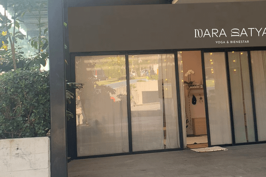 Imagen 2 de la galería del partner Nara Satya Studio