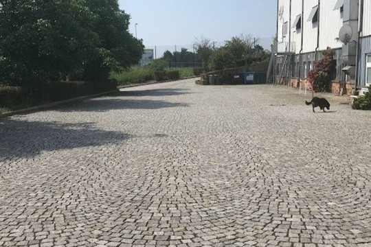 Bild 2 von Gesundheitszentrum Amöneburg Partnergalerie