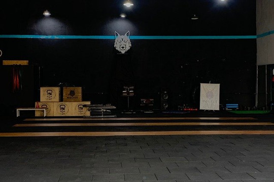 Imagem 1 da galeria do parceiro Studio Wolfit