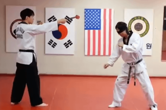 Image 3 from Golden Dragon Taekwondo Midtown partner gallery