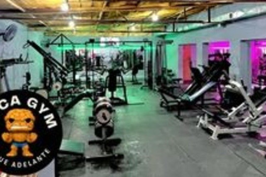 Imagen 1 de la galería del partner Roca Gym