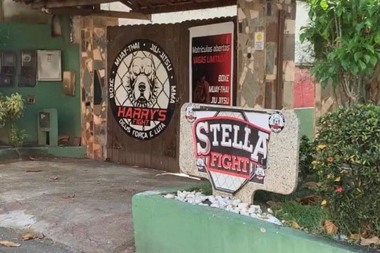 Imagem 2 da galeria do parceiro Stella Fight