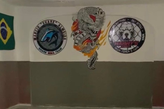 Imagem 1 da galeria do parceiro Stella Fight