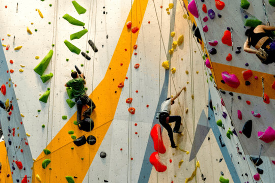 Imagen 1 de la galería del partner Adamanta Gonzalitos