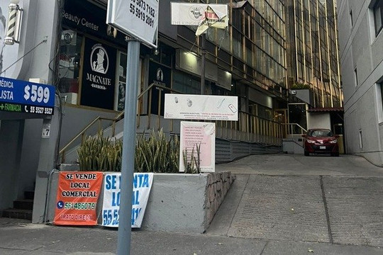 Imagen 2 de la galería del partner Studio diecisiete