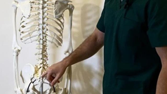 Immagine 1 dalla galleria del partner Studio di Mirco Brunetti - Fano