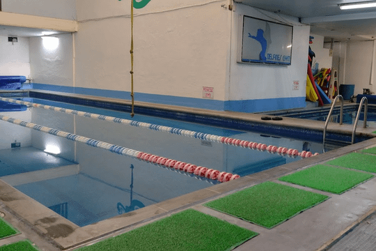 Imagen 2 de la galería del partner Delfines GYM