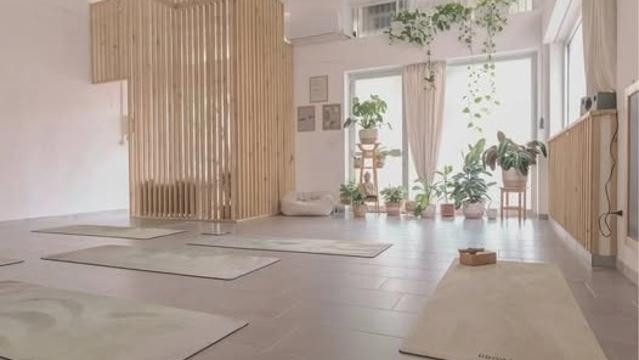 Immagine 2 dalla galleria del partner Vikasa Navakarana Yoga Studio
