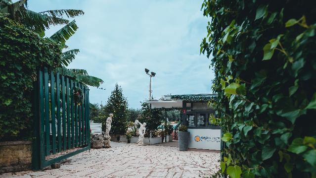 Immagine 1 dalla galleria del partner Circolo Oasi di Pace