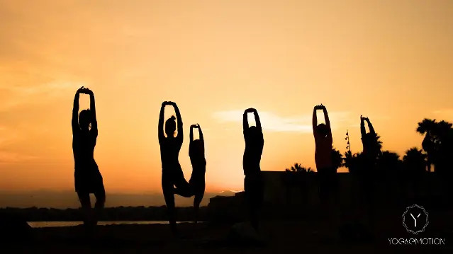 Imagem 3 da galeria do parceiro YogaEmotion