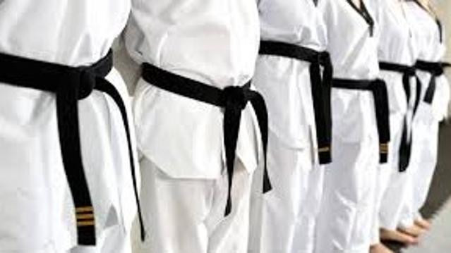 Image 1 de la galerie du partenaire Apollo Taekwon-Do