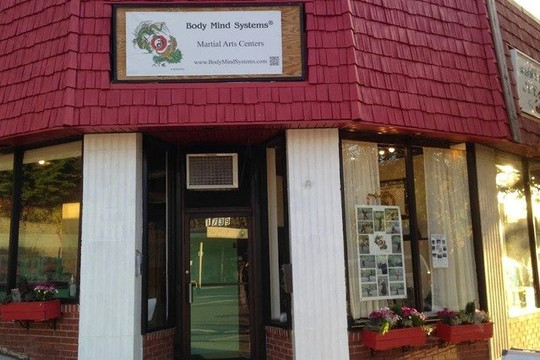 Image 2 from Body Mind Systems Martial Arts Center partner gallery