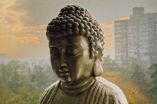 Imagen 2 de la galería del partner Vibrar Altísimo