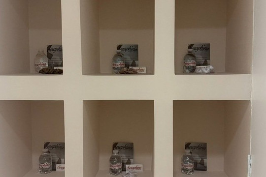 Imagen 3 de la galería del partner Seraphina Wellness Club