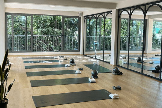 Imagen 1 de la galería del partner Soul Movement Studio