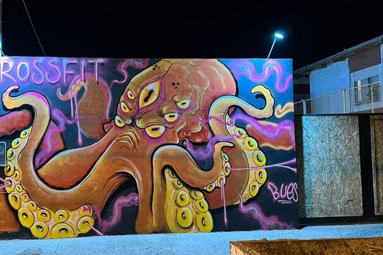 Imagen 3 de la galería del partner kalmar crossfitness