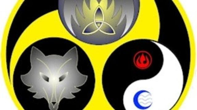 Immagine 1 dalla galleria del partner Asd Tengu Academy