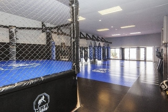 Imagen 1 de la galería del partner ALPHA GYM MMA