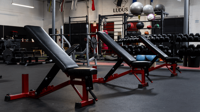 Image 3 from Ludus Performance Gym partner gallery