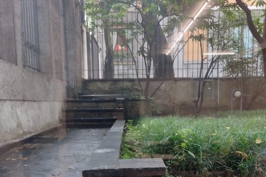 Immagine 2 dalla galleria del partner Alma