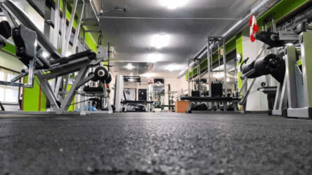 Immagine 1 dalla galleria del partner Algym