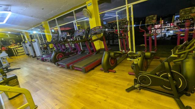 Imagen 2 de la galería del partner Bestia Gold Gym Juriquilla