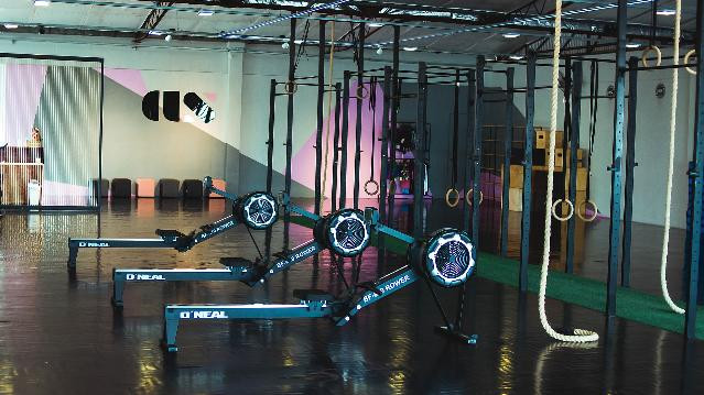 Imagem 1 da galeria do parceiro Adriana Scheid Treinamento Fisico