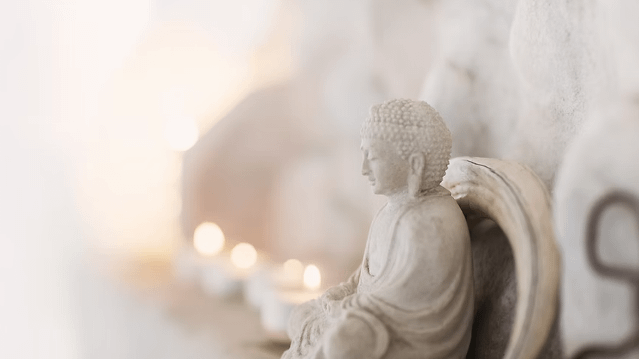 Image 3 from Wellness By Umashree partner gallery