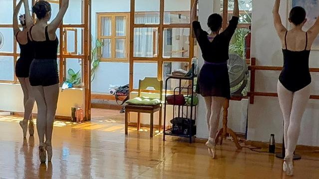 Imagen 3 de la galería del partner Terpsicore Ballet