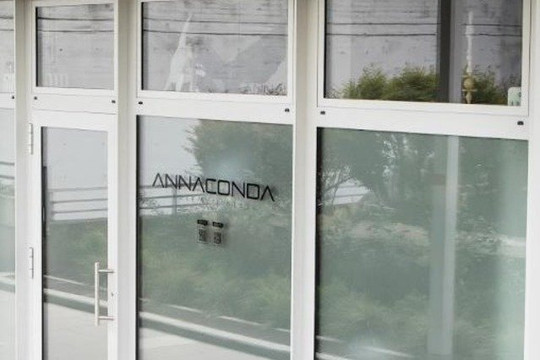 Bild 2 von ANNACONDA Pole & Aerial Sports Partnergalerie