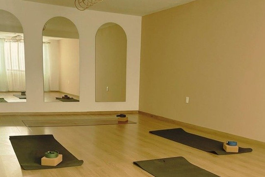 Imagen 1 de la galería del partner Shanti Yoga Studio
