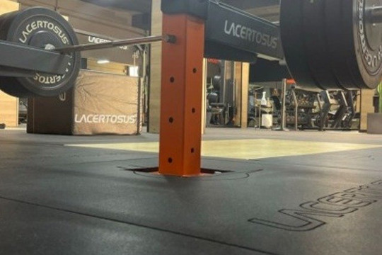 Immagine 2 dalla galleria del partner Home Gym Club Caserta