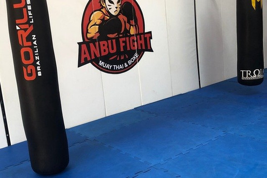 Imagem 1 da galeria do parceiro Anbu Fight Muay Thai & Boxe