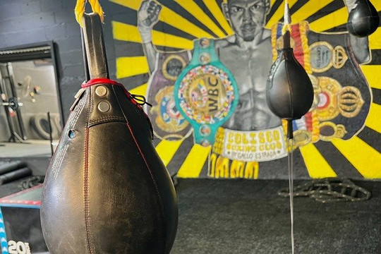 Imagen 3 de la galería del partner Coliseo Boxing Club