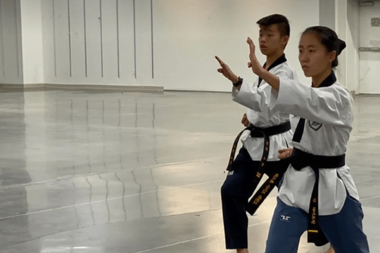 Image 3 from Upward Martial Arts partner gallery