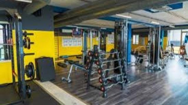 Immagine 3 dalla galleria del partner Gimfive Mirandola