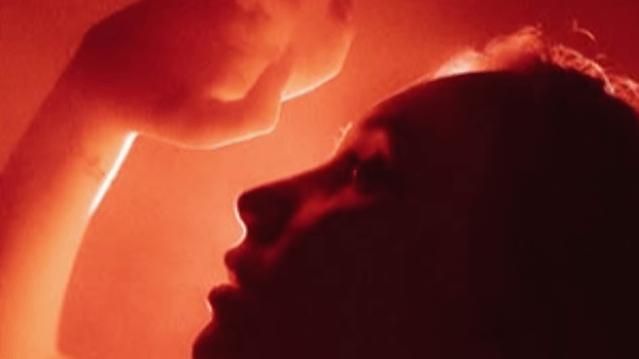 Imagem 3 da galeria do parceiro Red Up Studio