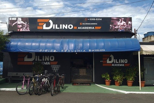 Imagem 2 da galeria do parceiro Dilino Academia
